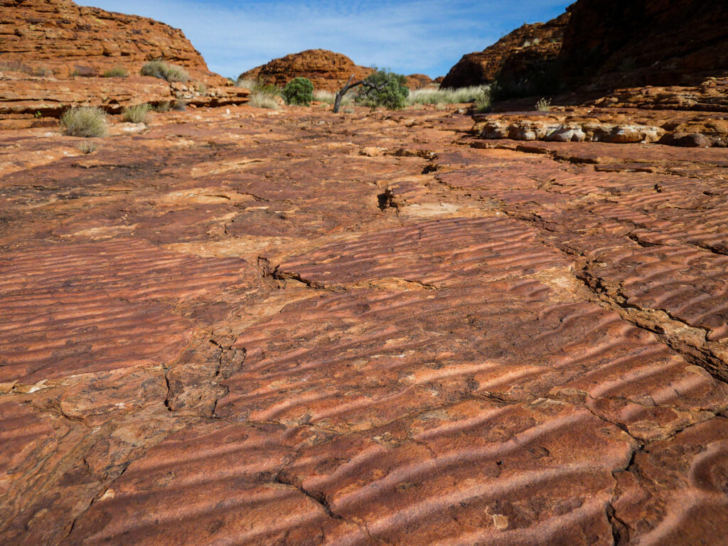 Kings Canyon Watarrka National Park trekking landscape photography Alice Springs camping West Macs