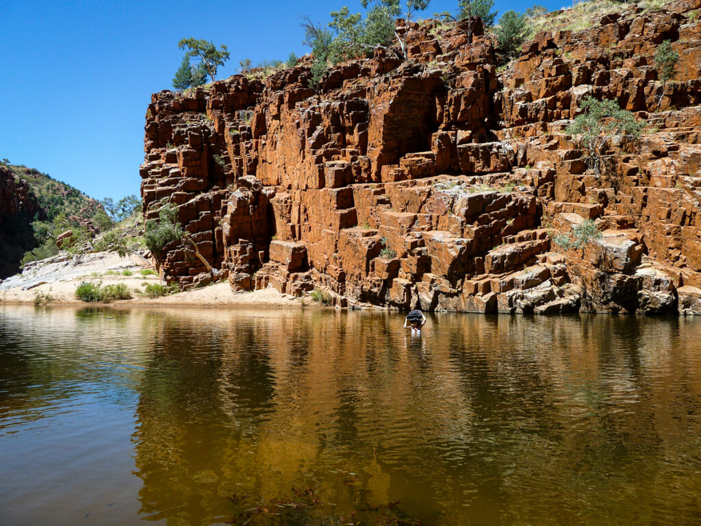 Tjoritja West MacDonnell Ranges trekking landscape photography Alice Springs camping West Macs