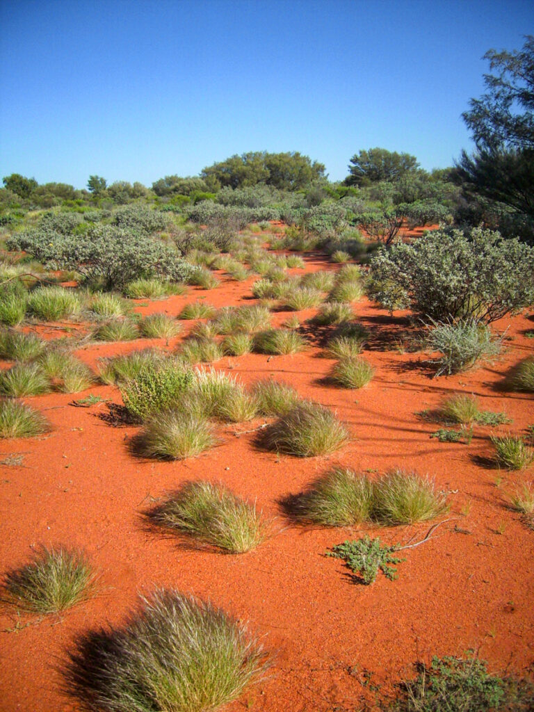 Uluru Kata Tjuta trekking australia red centre landscape photography