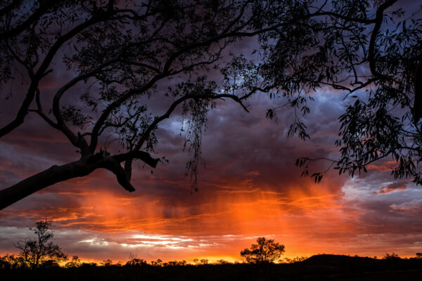 Red Down Under