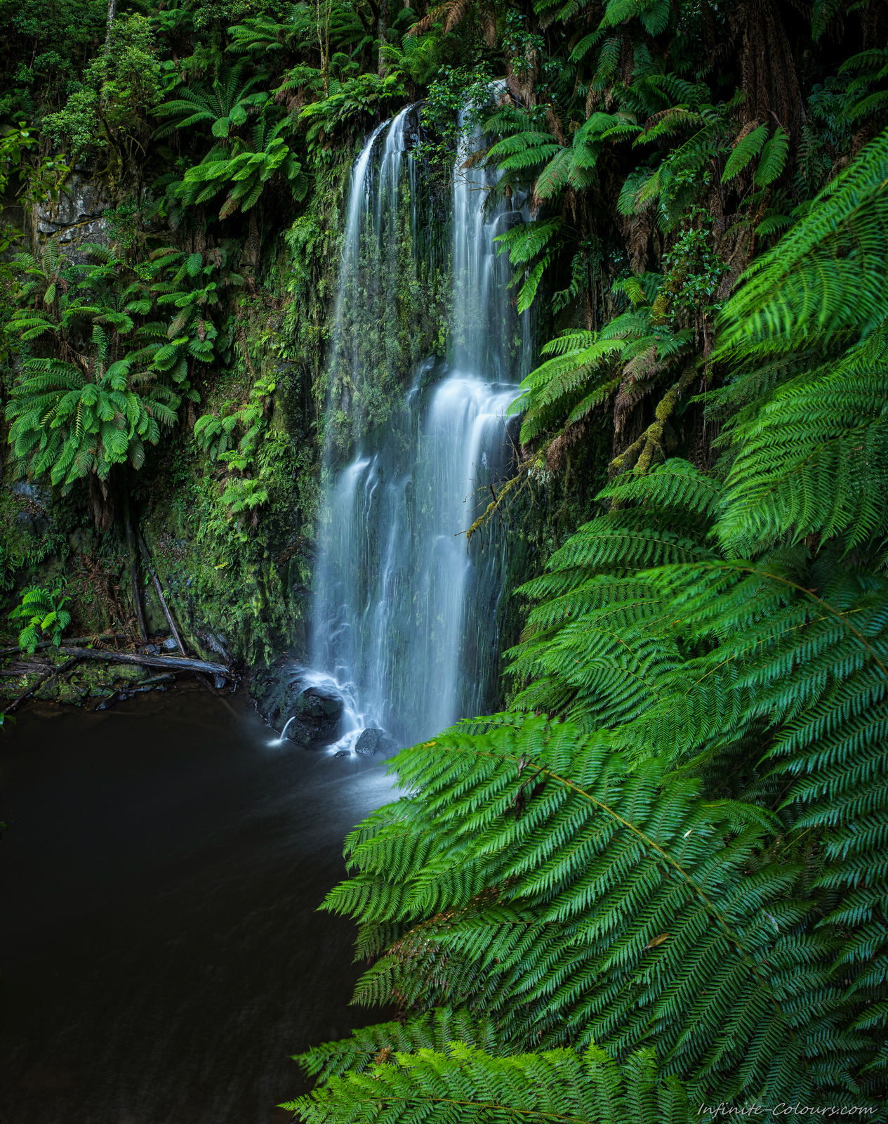 Beauchamp Trickle Victoria rainforest landscape photography Sony A7 Minolta MD 35-70 3.5 macro