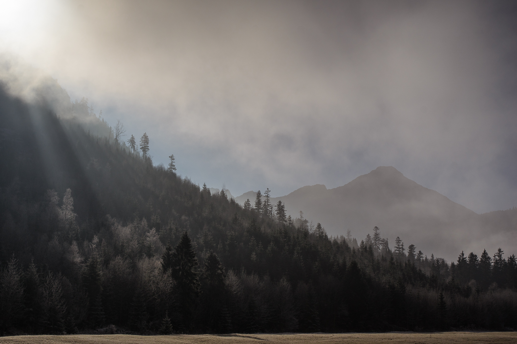 Nebel-Fotografie-Landschaft-Fog-Photography-Mountains-Retterschwang-Retterschwanger-Tal-Oberstadorf-Landschaft-Winter