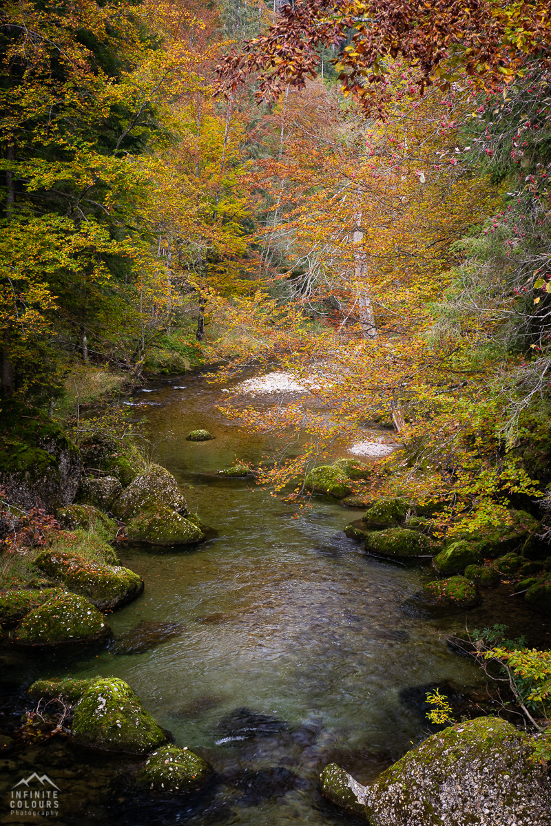 Gunzesried Herbst Landschaftsfotografie Herbst Allgäu