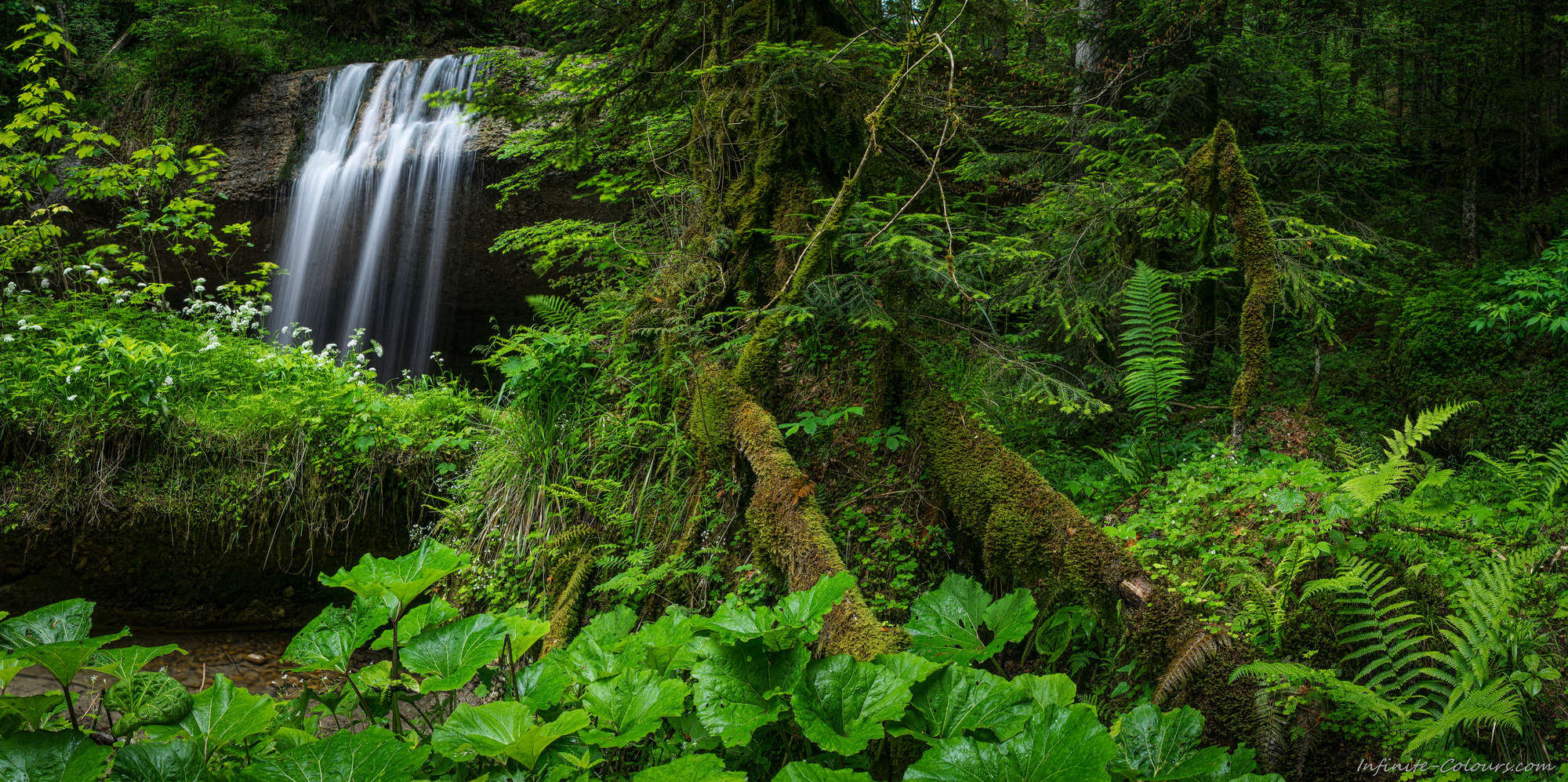 Bregenzerregenwald Nagelfluh Herrgottsbeton Wirtatobel Rickenbach Wasserfall Bregenzerwald Vorarlberg Wasserfall Sony A7 Minolta MD 35-70 3.5 macro