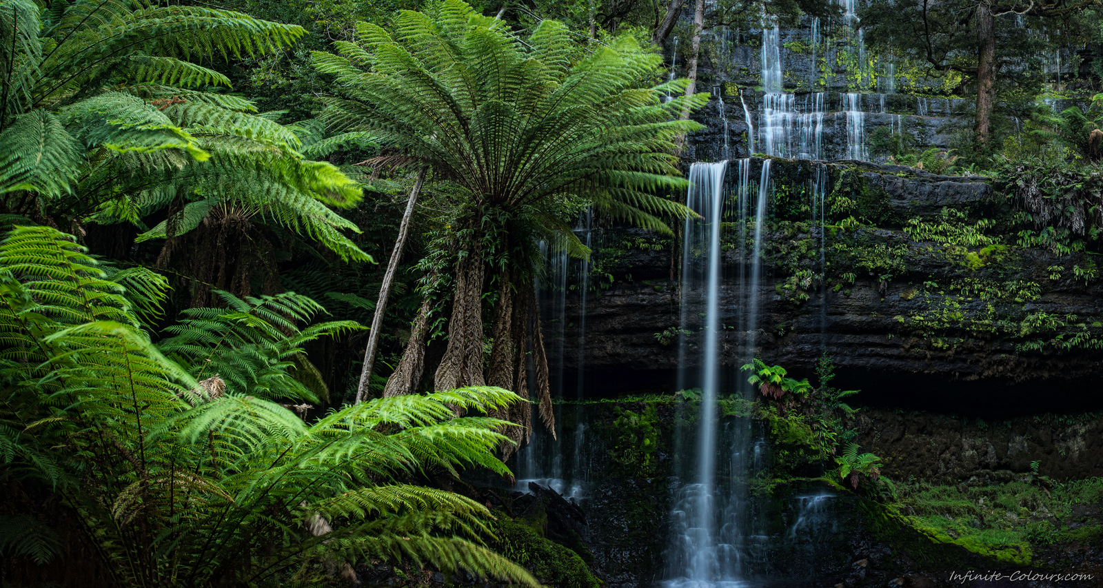 Fern Tree Paradise Tasmania landscape photography Sony A7 Minolta MD 35-70 3.5 macro Russell Falls, Mount Field National Park Tassie rainforest with giant fern trees at Russell Falls cascades, Mount Field Nat'l Park