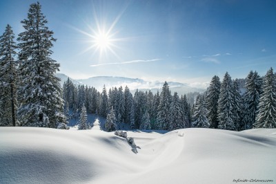 Allgaeu Winterwanderung Riedbergpass Oberstdorf Schneeschuhtour