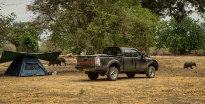 Nyamepi campsite, Sambesi, Mana PoolsMana Pools National Park, Zimbabwe