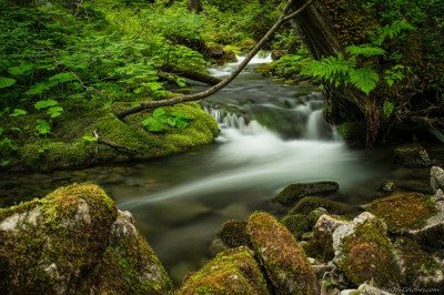 Schwarzwassertal Schwarzwasser Kleinwalsertal Regenwald Vorarlberg Gebirgsbach Österreich Sony A7 Minolta MD 35-70 3.5 macro