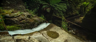 Rainforest stream slide, Liffey Falls reserve Tasmania, Australia