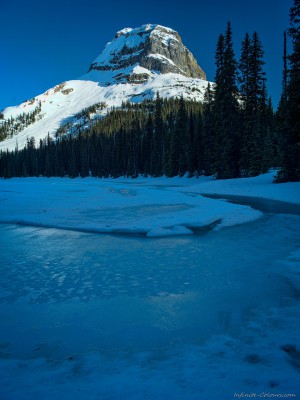 Frozen Yoho Lake / Wapta Mountain from Yoho Lake backcountry Yoho, British Columbia, Canada landscape photography fotografie Sony A7 Canon FD 35mm tilt shift 2.8