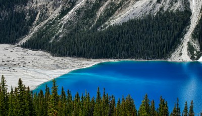 Canon FD 80-200 F4.0 Sony A7 Peyto bluePeyto Lake, Banff, Alberta, Canada photography fotografie