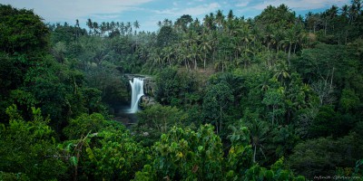 Tegenungan falls forest panorama Ubud, Bali, Indonesia