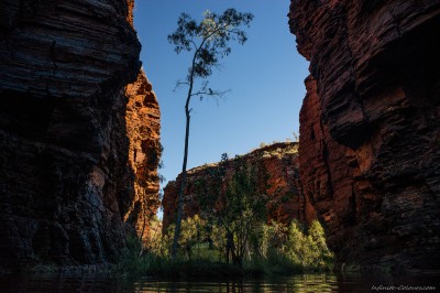 Random campsite, offtrail Kalamina Gorge Karijini National Park, Western Australia