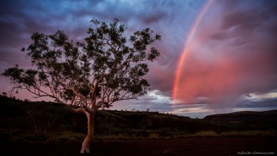 Ghost Gum rainbow, Hamersley sunsetKarijini National Park, Western Australia