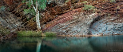 Hamersley Gorge ghost gum Hamersley Gorge, Karijini NP, Western Australia