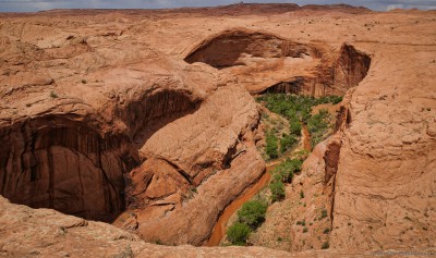 Coyote Gulch from Fortymile Ridge TrailheadGrand Staircase Escalante, Utah