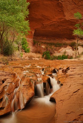 Swiss Cheese falls, Coyote GulchGrand Staircase Escalante, Utah photography fotografie