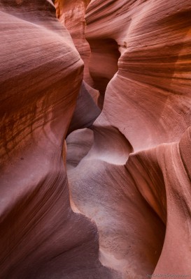 Spooky Gulch slot canyonGrand Staircase Escalante, Utah