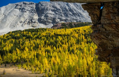 Skoki autumn colors from Myosotis Lake waterfall Skoki Lakes fall, Banff, Canada photography fotografie Sony A7 Minolta MD 35-70 3.5 macro