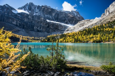 Myosotis Lake of Skoki Lakes framed by larches Banff National Park, Canada photography fotografie Sony A7 Minolta MD 35-70 3.5 macro