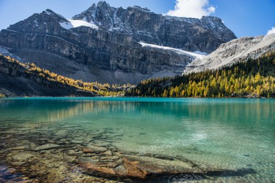 Pika Peak and Sony A7 Olympus OM 24 2.8 Myosotis LakeSkoki Lakes larches, Banff photography landscape fotografie