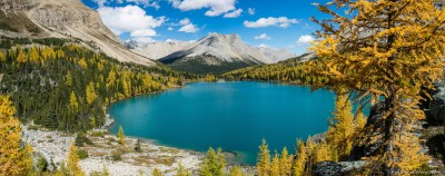 Myosotis and Skoki mountain Skoki Lakes larches, Banff National Park, Canada