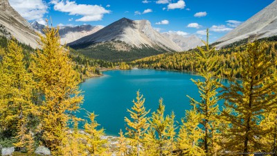 Myosotis Lake of Skoki Lakes yellow larchesBanff National Park, Canada photography fotografie Sony A7 Minolta MD 35-70 3.5 macro