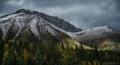 Mt. Pocaterra range / Kananaskis Highwood Pass Kananaskis autumn, Highwood Pass photography fotografie Sony A7 Minolta MD 35-70 3.5 macro