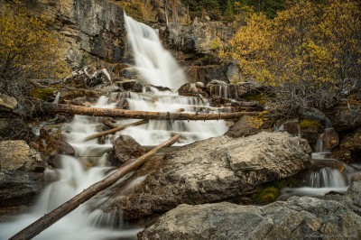 Sony A7 Minolta MD 35-75 3.5 macro Tangle Creek autumn cloakTangle Creek Falls, Icefields Parkway photography fotografie