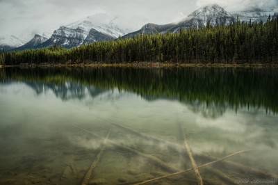 Sony A7 Olympus OM 24 2.8 Herbert Lake tranquilityBanff National Park, Canada photography landscape fotografie