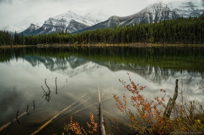 Sony A7 Minolta MD 35-75 3.5 macro Herbert autumn morningHerbert Lake, Banff photography landscape fotografie