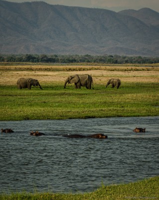 Mana Magic Zambezi Escarpment