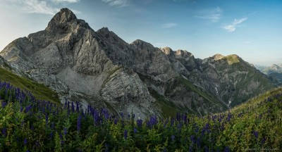 Trettachspitze WildengundkopfTrettachspitze und Mädelegabel vom Wildengundkopf Märchenwiese Allgäu