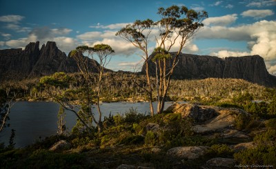 Elysia Moonrise, Late afternoon light on wind-battered gum trees, Geryon and Acropolis rest unimpressed